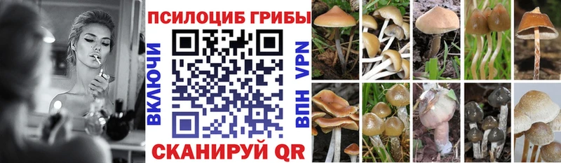 Псилоцибиновые грибы Psilocybe  ссылка на мегу рабочий сайт  Елизаветинская  купить наркоту 